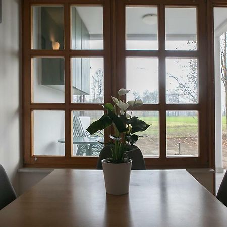Apartma Špelca Banovci Exterior foto